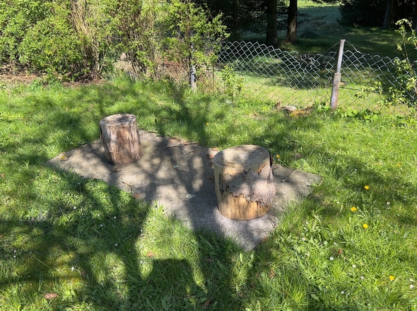 Blick in den Garten 
