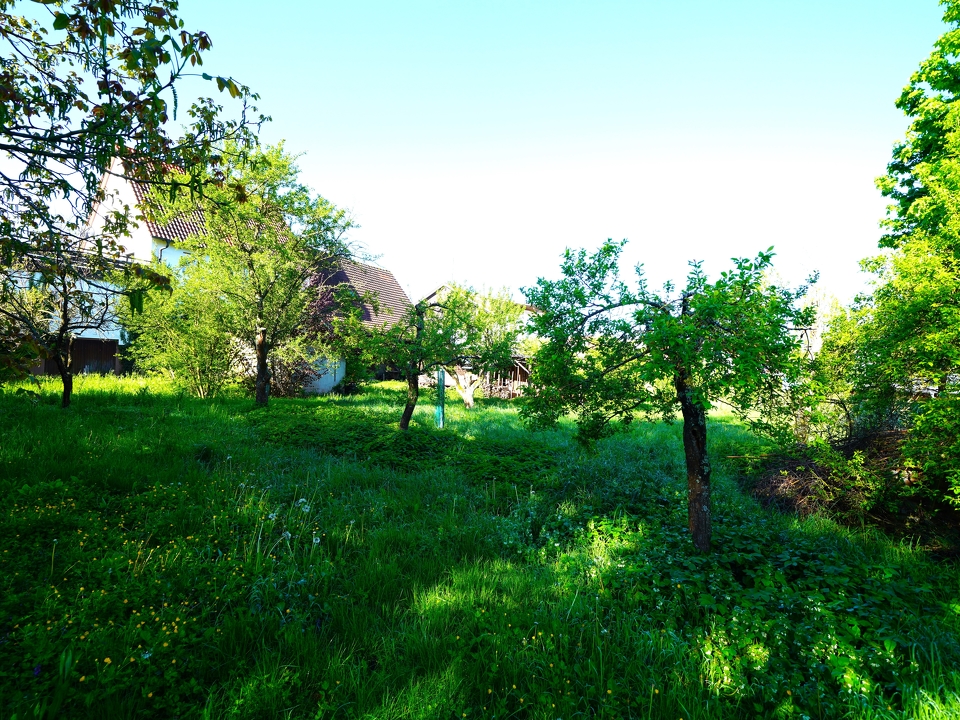 Bauplatz auf 761 m² Grundstücksfläche