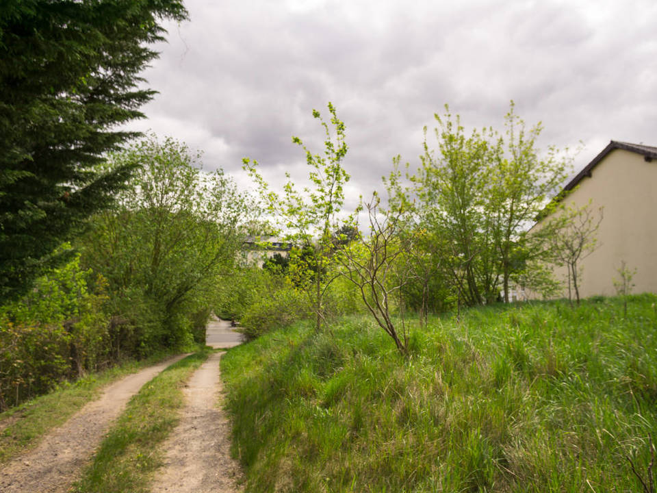 Blick von Grundstücksmitte in Richtung Straße