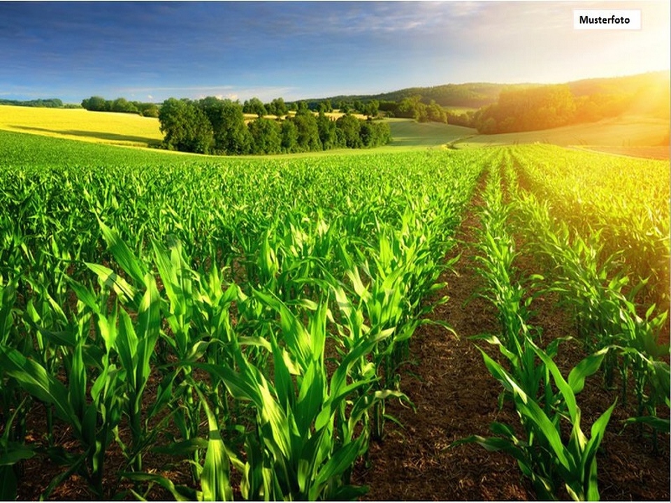 Musterfoto_Landwirtschaft