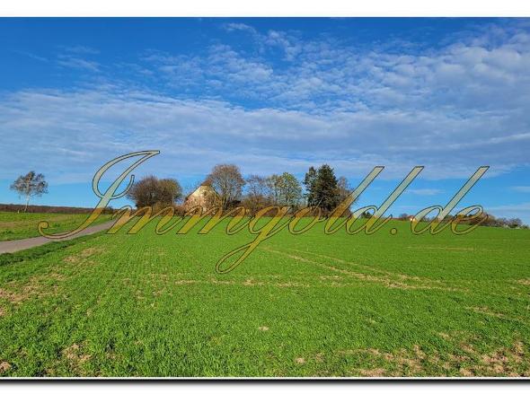 Immobilie in Blomberg