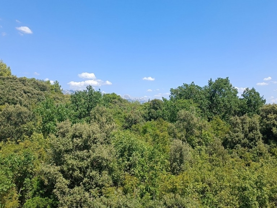 Immobilien Kroatien - Panorama Scouting H2267 - 6