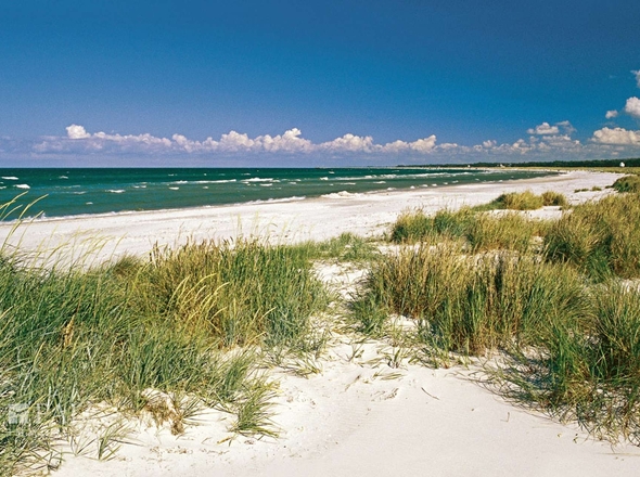 Impressionen der Umgebung