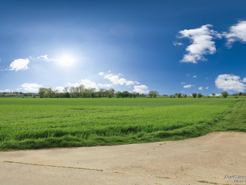 Acker Blickrichtung Nordwest