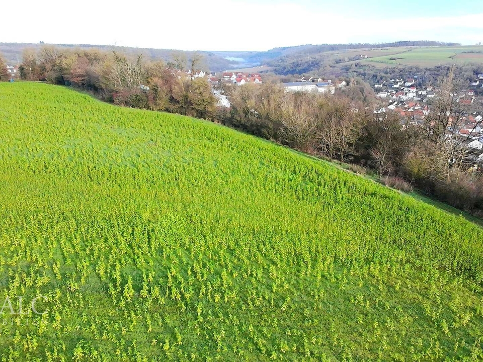 Bauplatz gefälligst?