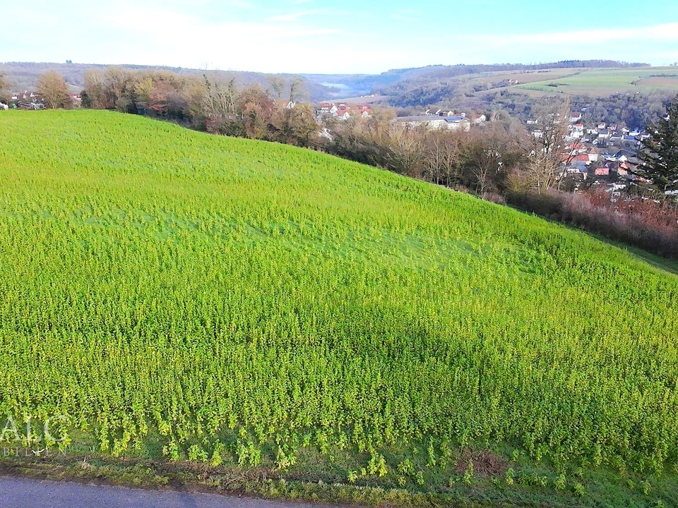 Bauen Sie hier Ihr Traumhaus!