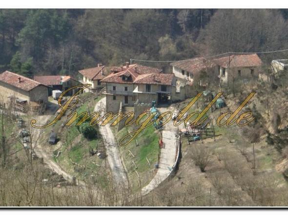 Immobilie in Langhe