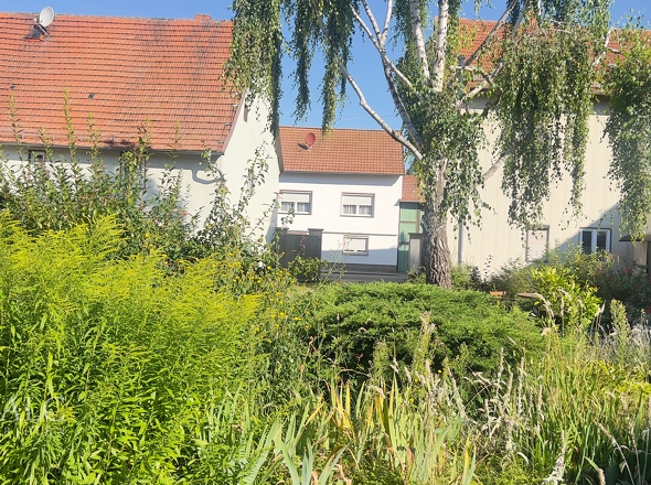 Hofansicht zur Ausfahrt 