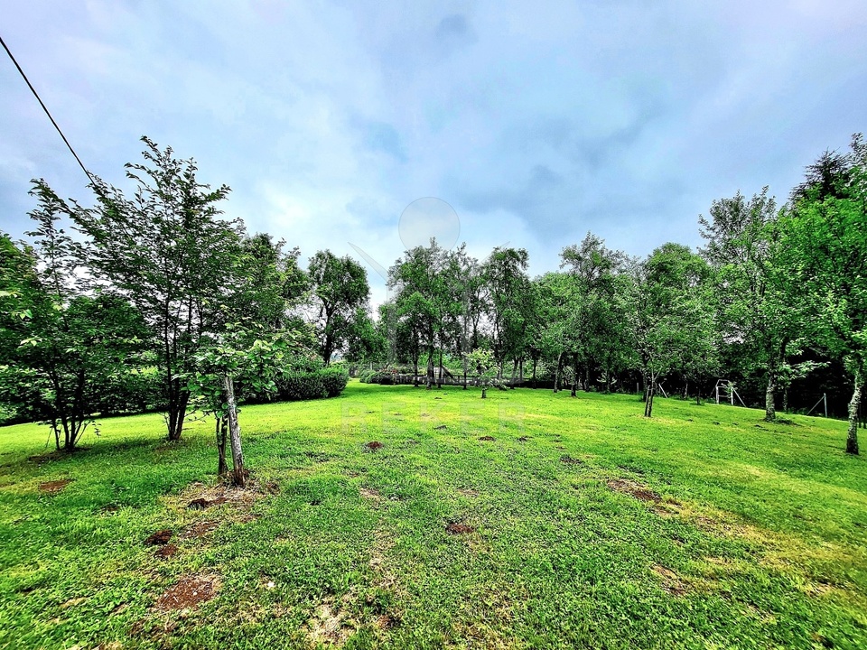 Idylle im Herzen der Natur