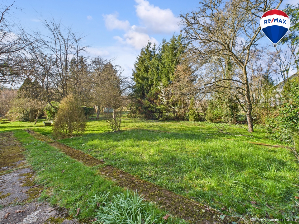 Remax Immobilien DeLux Buweiler Außenanlage