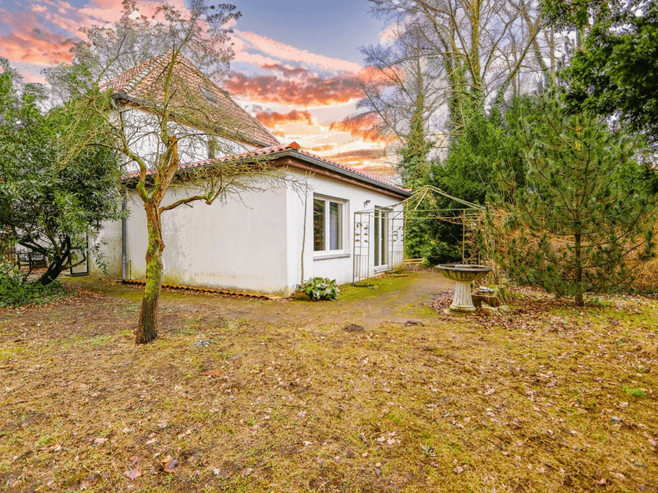 Garten blick zum Haus
