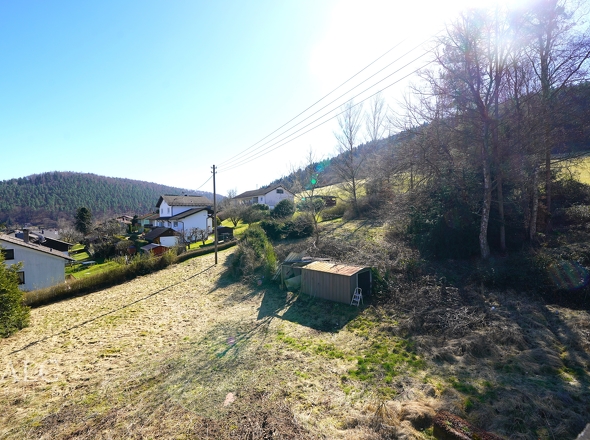  Grüne Oase für Ihr Bauprojekt – Hier könnte Ihr neues Zuhause entstehen!