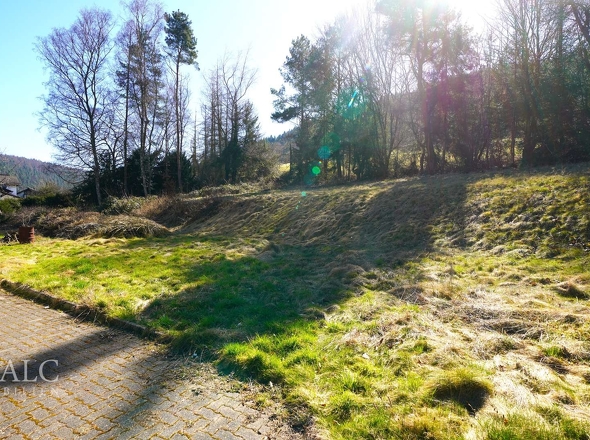 Ein Stück Natur – Ihr Grundstück für individuelle Gestaltung