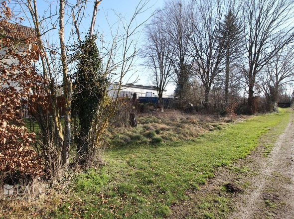 Hinteres Grundstück