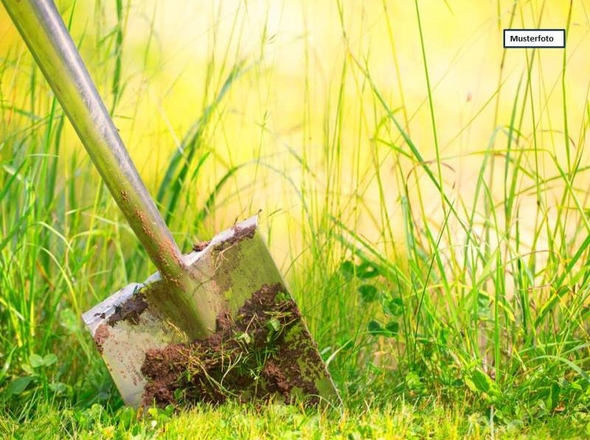 Grundstück_Wiese_Musterfoto