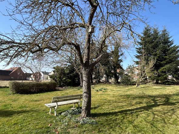 Garten