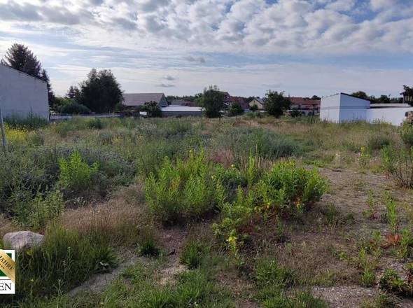 Blick mittig auf das Grundstück