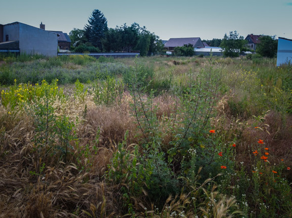 Straßenseite rechte Ecke