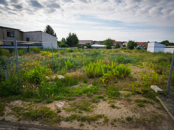 Grundstück von vorn Mitte