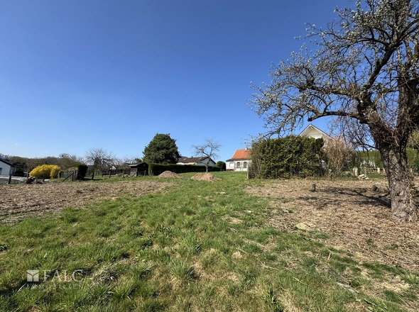 Blick vom hinteren Grundstü+ck