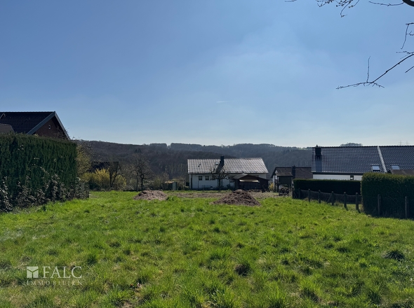 Blick vom vorderen Grundstück