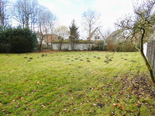 Immobilie in Rheda-Wiedenbrück