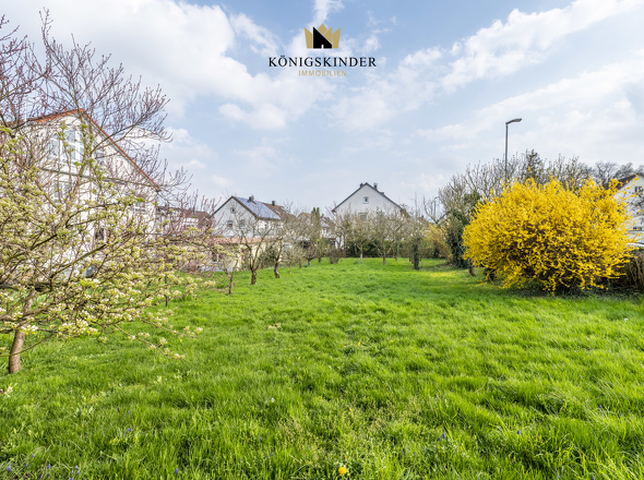 Garten bzw. Baugrundstück