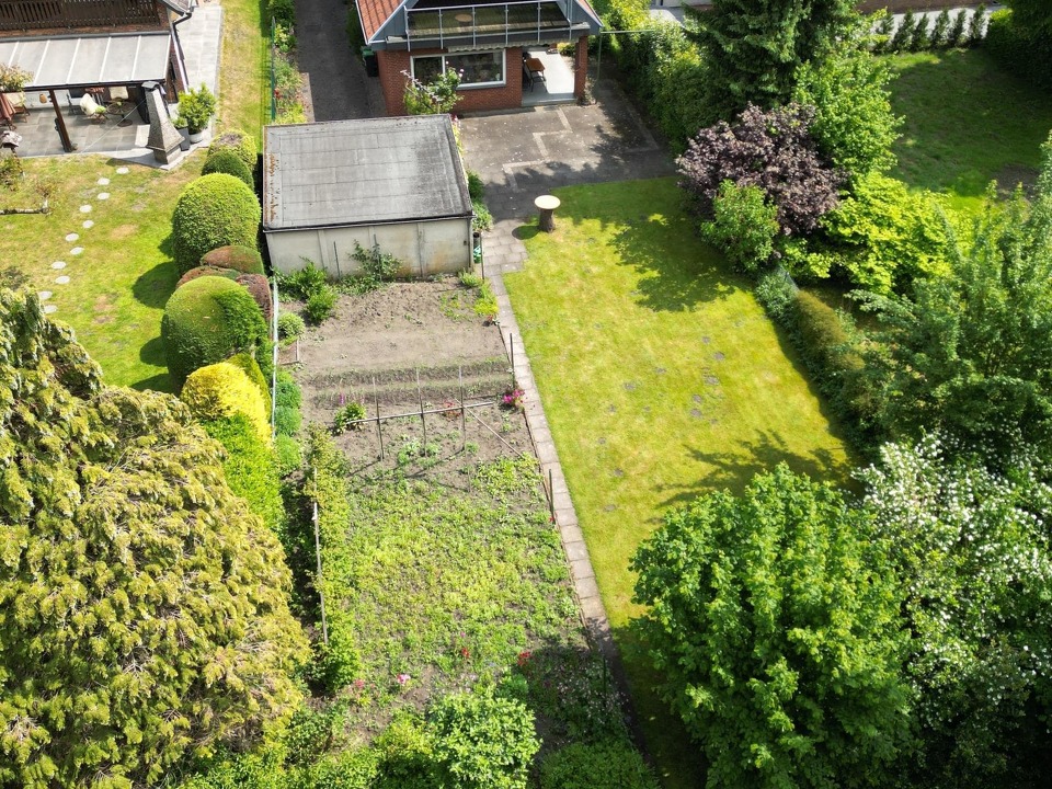 Blick von oben vom hinteren Garten