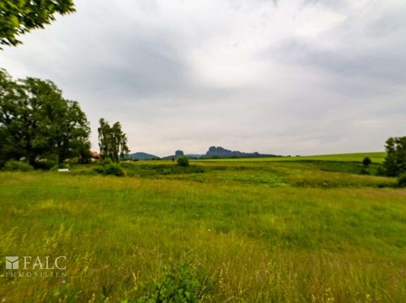 Umgebung/Blick auf den Falkenstein