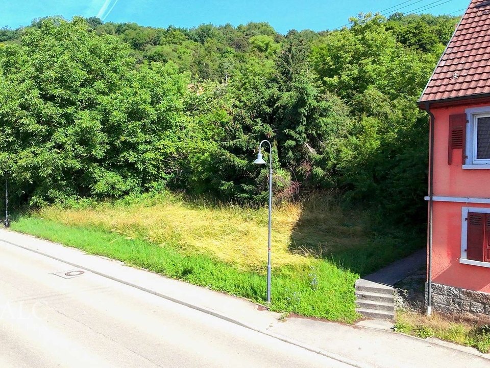 Planen - Bauen - Einziehen!