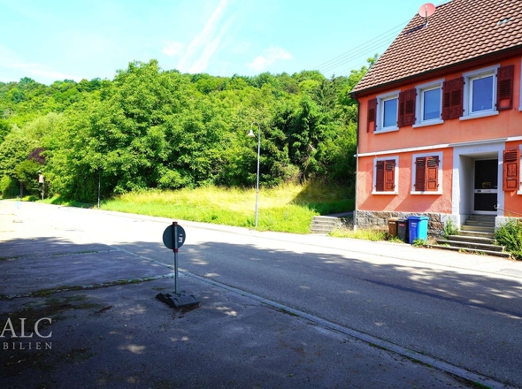 EFH oder Doppelhaus!