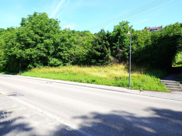 ruhige Lage mit guter Anbindung