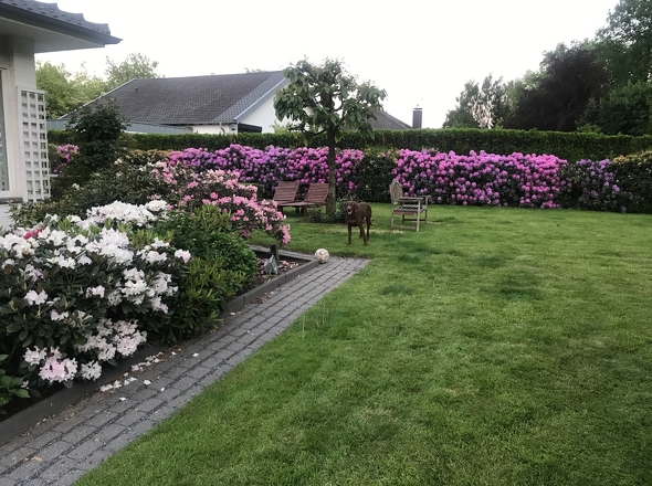 Immobilie in Bad Oeynhausen