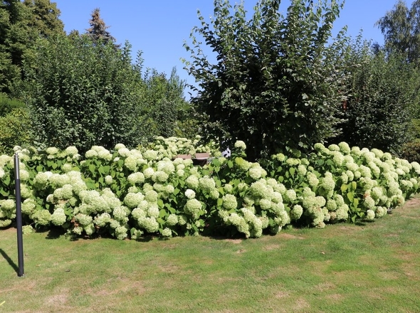 Immobilie in Bad Oeynhausen