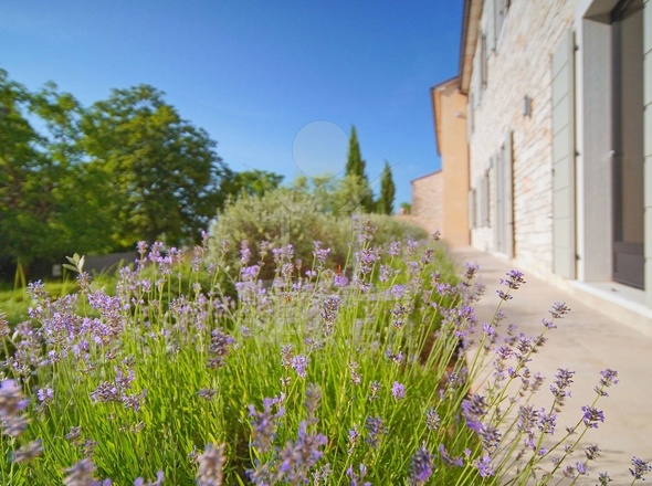 Immobilie in Svetvinčenat