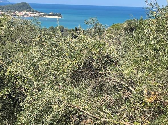 Weitsicht auf die Bucht