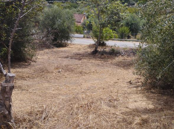 Sicht vom Grundstück zur Straße