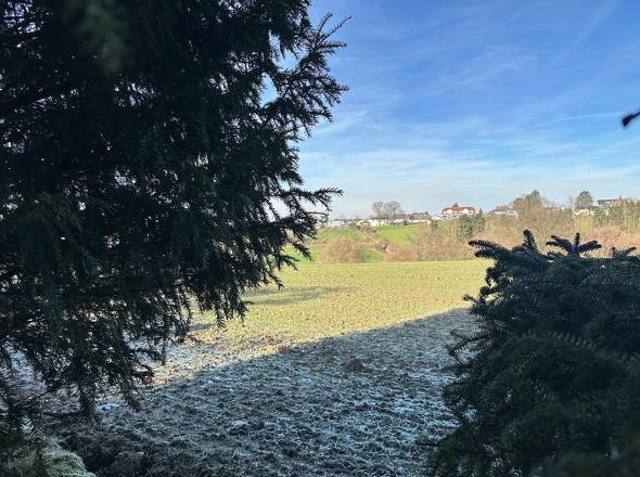 Felder hinterm dem Haus 