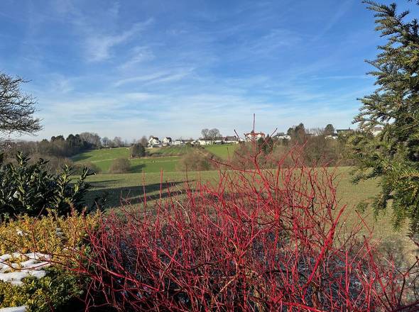 Felder hinter dem Haus 