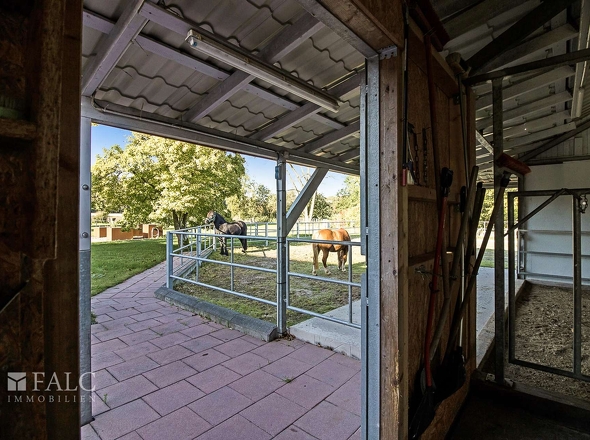 Pferdestall 