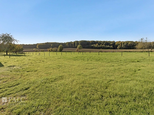 Aussicht in die Natur