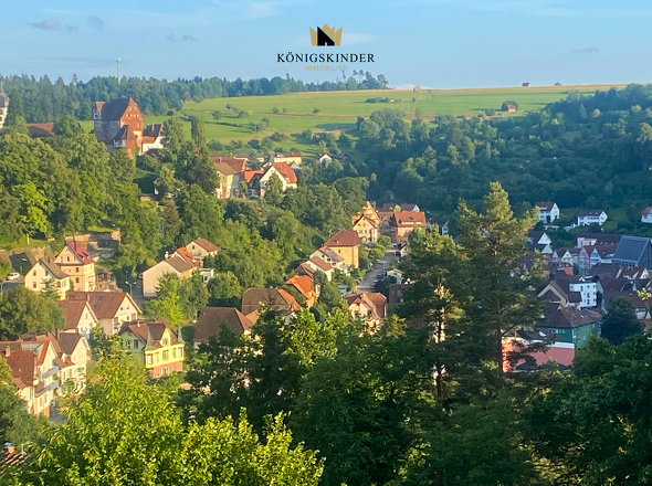 Blick über Altensteig mit der alten Burg