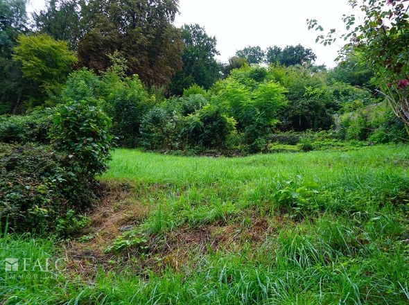 Rückseite Grundstück