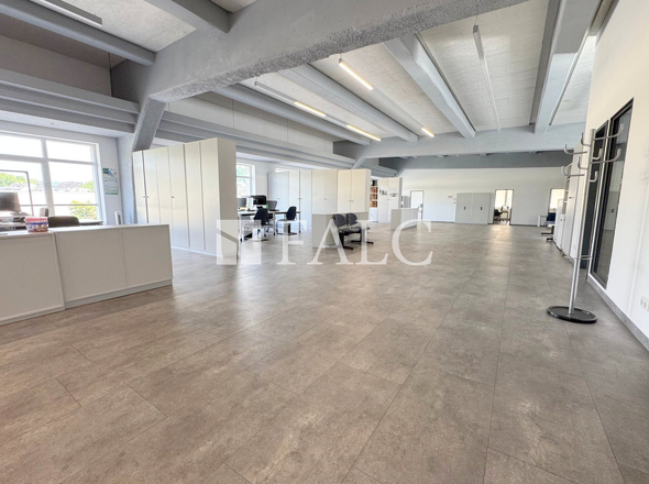 Loft 1_Großraumfläche