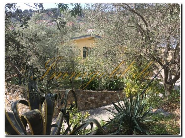 Immobilie in Imperia