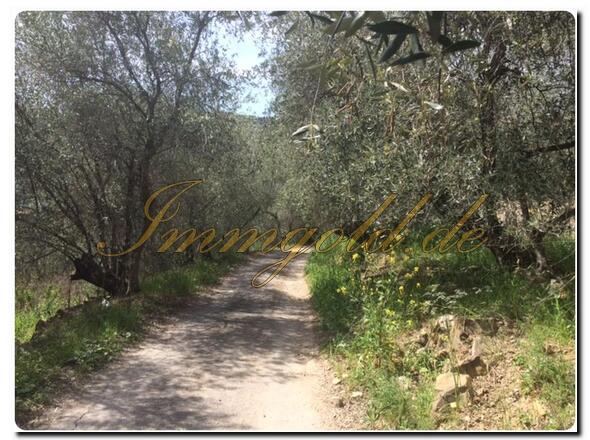 Immobilie in Imperia