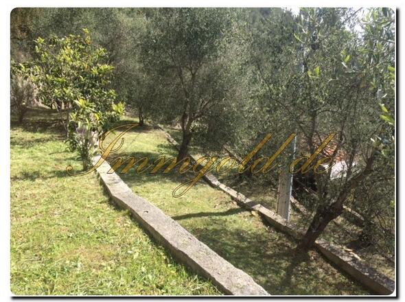 Immobilie in Imperia