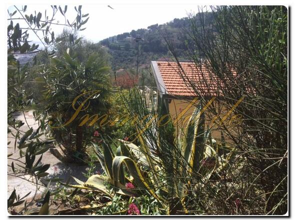 Immobilie in Imperia