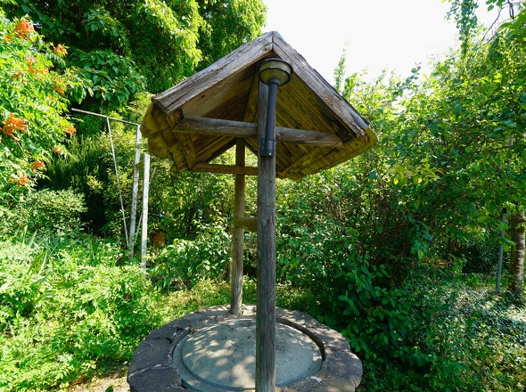 Zwischen Blättern und Licht