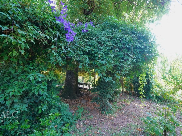 Inmitten des stillen Grüns